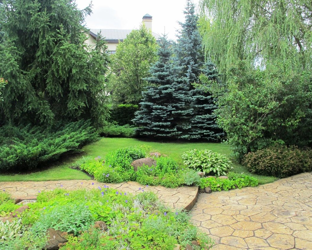 Ливадия на Истре